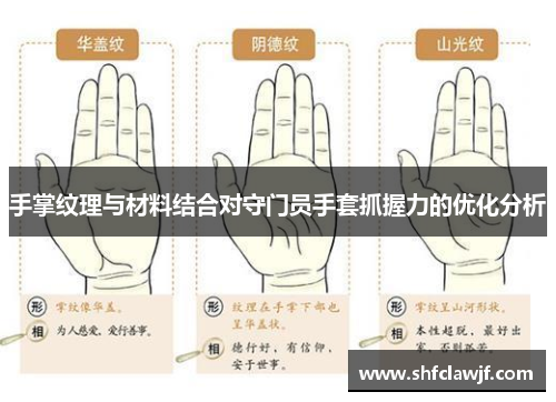 手掌纹理与材料结合对守门员手套抓握力的优化分析